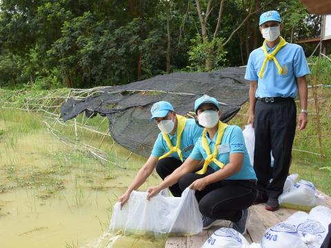โครงการปลูกต้นไม้เนื่องในวันสำคัญต่าง ๆ 2565