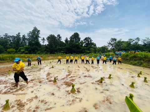 จิตอาสา เราทำดีด้วยหัวใจ ณ โครงการฟาร์มตัวอย่างฯ บ้านกระเจา
